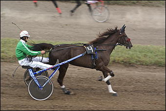 19 августа 2007г., Барнаул   Конно-спортивные состязания на "Кубок губернатора" (фото Кристины Красниковой)