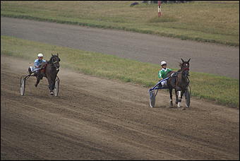 19 августа 2007г., Барнаул   Конно-спортивные состязания на "Кубок губернатора" (фото Кристины Красниковой)