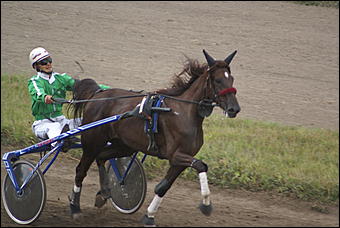 19 августа 2007г., Барнаул   Конно-спортивные состязания на "Кубок губернатора" (фото Кристины Красниковой)