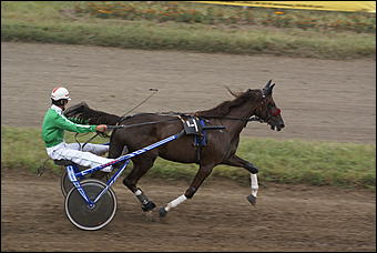 19 августа 2007г., Барнаул   Конно-спортивные состязания на "Кубок губернатора" (фото Кристины Красниковой)
