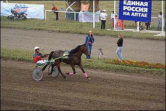 19 августа 2007г., Барнаул   Конно-спортивные состязания на "Кубок губернатора" (фото Кристины Красниковой)