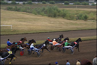 19 августа 2007г., Барнаул   Конно-спортивные состязания на "Кубок губернатора" (фото Кристины Красниковой)