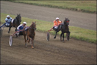 19 августа 2007г., Барнаул   Конно-спортивные состязания на "Кубок губернатора" (фото Кристины Красниковой)