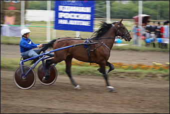 19 августа 2007г., Барнаул   Конно-спортивные состязания на "Кубок губернатора" (фото Кристины Красниковой)