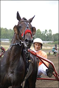 19 августа 2007г., Барнаул   Конно-спортивные состязания на "Кубок губернатора" (фото Кристины Красниковой)