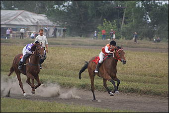 19 августа 2007г., Барнаул   Конно-спортивные состязания на "Кубок губернатора" (фото Кристины Красниковой)