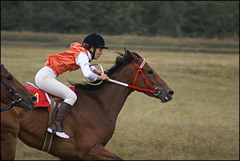 19 августа 2007г., Барнаул   Конно-спортивные состязания на "Кубок губернатора" (фото Кристины Красниковой)