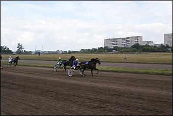 19 августа 2007г., Барнаул   Конно-спортивные состязания на "Кубок губернатора" (фото Кристины Красниковой)