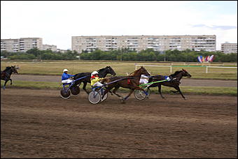 19 августа 2007г., Барнаул   Конно-спортивные состязания на "Кубок губернатора" (фото Кристины Красниковой)