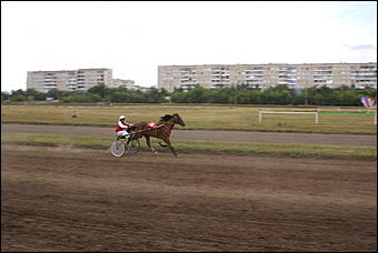 19 августа 2007г., Барнаул   Конно-спортивные состязания на "Кубок губернатора" (фото Кристины Красниковой)