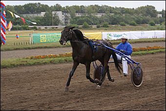 19 августа 2007г., Барнаул   Конно-спортивные состязания на "Кубок губернатора" (фото Кристины Красниковой)