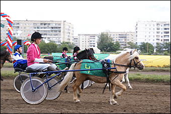 19 августа 2007г., Барнаул   Конно-спортивные состязания на "Кубок губернатора" (фото Кристины Красниковой)