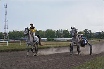 19 августа 2007г., Барнаул   Конно-спортивные состязания на "Кубок губернатора" (фото Кристины Красниковой)