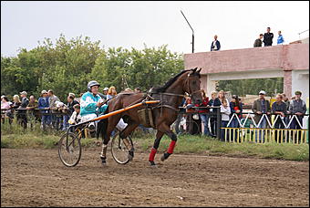 19 августа 2007г., Барнаул   Конно-спортивные состязания на "Кубок губернатора" (фото Кристины Красниковой)