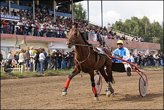 19 августа 2007г., Барнаул   Конно-спортивные состязания на "Кубок губернатора" (фото Кристины Красниковой)