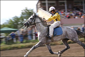 19 августа 2007г., Барнаул   Конно-спортивные состязания на "Кубок губернатора" (фото Кристины Красниковой)