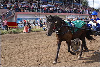 19 августа 2007г., Барнаул   Конно-спортивные состязания на "Кубок губернатора" (фото Кристины Красниковой)