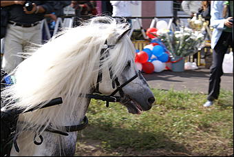 19 августа 2007г., Барнаул   Конно-спортивные состязания на "Кубок губернатора" (фото Кристины Красниковой)