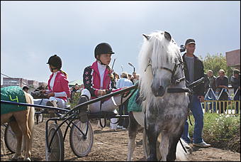 19 августа 2007г., Барнаул   Конно-спортивные состязания на "Кубок губернатора" (фото Кристины Красниковой)
