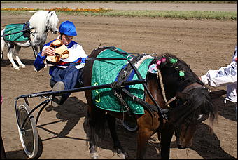 19 августа 2007г., Барнаул   Конно-спортивные состязания на "Кубок губернатора" (фото Кристины Красниковой)