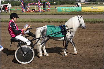 19 августа 2007г., Барнаул   Конно-спортивные состязания на "Кубок губернатора" (фото Кристины Красниковой)