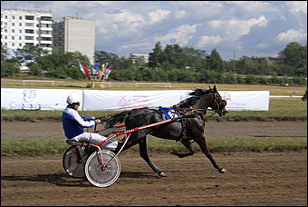 19 августа 2007г., Барнаул   Конно-спортивные состязания на "Кубок губернатора" (фото Кристины Красниковой)