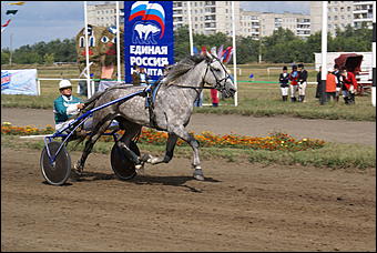 19 августа 2007г., Барнаул   Конно-спортивные состязания на "Кубок губернатора" (фото Кристины Красниковой)