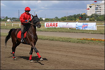 19 августа 2007г., Барнаул   Конно-спортивные состязания на "Кубок губернатора" (фото Кристины Красниковой)