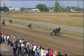 19 августа 2007г., Барнаул   Конно-спортивные состязания на "Кубок губернатора" (фото Кристины Красниковой)