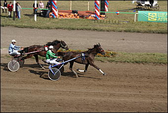19 августа 2007г., Барнаул   Конно-спортивные состязания на "Кубок губернатора" (фото Кристины Красниковой)