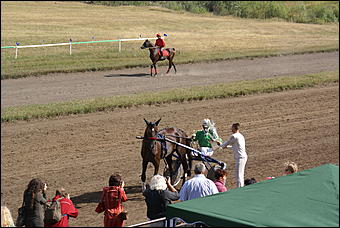 19 августа 2007г., Барнаул   Конно-спортивные состязания на "Кубок губернатора" (фото Кристины Красниковой)