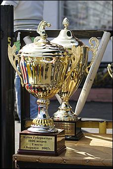 19 августа 2007г., Барнаул   Конно-спортивные состязания на "Кубок губернатора" (фото Кристины Красниковой)