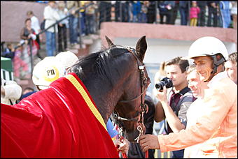 19 августа 2007г., Барнаул   Конно-спортивные состязания на "Кубок губернатора" (фото Кристины Красниковой)