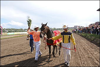 19 августа 2007г., Барнаул   Конно-спортивные состязания на "Кубок губернатора" (фото Кристины Красниковой)