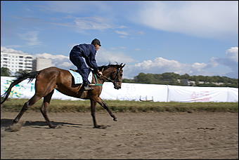 19 августа 2007г., Барнаул   Конно-спортивные состязания на "Кубок губернатора" (фото Кристины Красниковой)