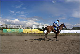 19 августа 2007г., Барнаул   Конно-спортивные состязания на "Кубок губернатора" (фото Кристины Красниковой)