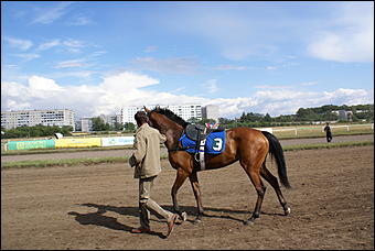 19 августа 2007г., Барнаул   Конно-спортивные состязания на "Кубок губернатора" (фото Кристины Красниковой)