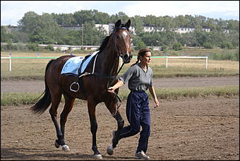 19 августа 2007г., Барнаул   Конно-спортивные состязания на "Кубок губернатора" (фото Кристины Красниковой)