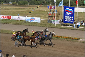 19 августа 2007г., Барнаул   Конно-спортивные состязания на "Кубок губернатора" (фото Кристины Красниковой)