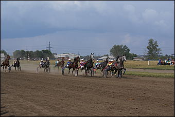 19 августа 2007г., Барнаул   Конно-спортивные состязания на "Кубок губернатора" (фото Кристины Красниковой)