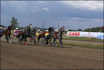 19 августа 2007г., Барнаул   Конно-спортивные состязания на "Кубок губернатора" (фото Кристины Красниковой)