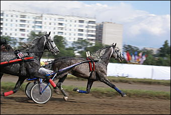 19 августа 2007г., Барнаул   Конно-спортивные состязания на "Кубок губернатора" (фото Кристины Красниковой)