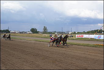 19 августа 2007г., Барнаул   Конно-спортивные состязания на "Кубок губернатора" (фото Кристины Красниковой)