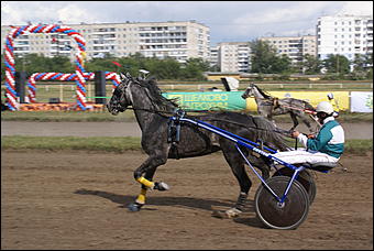 19 августа 2007г., Барнаул   Конно-спортивные состязания на "Кубок губернатора" (фото Кристины Красниковой)