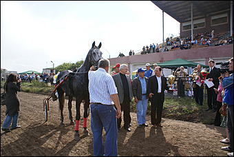 19 августа 2007г., Барнаул   Конно-спортивные состязания на "Кубок губернатора" (фото Кристины Красниковой)