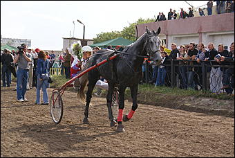 19 августа 2007г., Барнаул   Конно-спортивные состязания на "Кубок губернатора" (фото Кристины Красниковой)