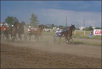 19 августа 2007г., Барнаул   Конно-спортивные состязания на "Кубок губернатора" (фото Кристины Красниковой)