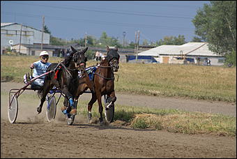 19 августа 2007г., Барнаул   Конно-спортивные состязания на "Кубок губернатора" (фото Кристины Красниковой)