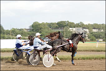 19 августа 2007г., Барнаул   Конно-спортивные состязания на "Кубок губернатора" (фото Кристины Красниковой)
