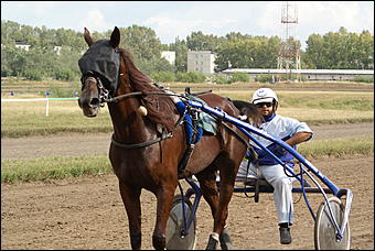 19 августа 2007г., Барнаул   Конно-спортивные состязания на "Кубок губернатора" (фото Кристины Красниковой)